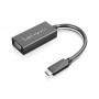 Lenovo GX90M44578 adattatore grafico USB Nero (GX90M44578)