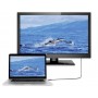 SpeaKa Professional SP-8821972 cavo HDMI 50 m HDMI tipo A (Standard) Nero (SP-8821972)