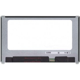 CoreParts MSC140F30-254M ricambio per notebook Display (MSC140F30-254M)