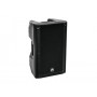 Omnitronic 11038798 altoparlante 2-vie Nero Cablato 300 W (11038798)