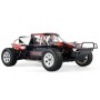 Amewi Dune Breaker Pro Motore elettrico 1:10 Buggy (22316)