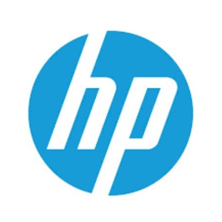 HP LRSMKY2E licenza per software/aggiornamento 100 - 499 licenza/e Download di software elettronico (ESD) (LRSMKY2E)