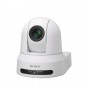 Sony SRG-X400 Telecamera di sicurezza IP Cupola 3840 x 2160 Pixel Soffitto/palo (SRG-X400WC)