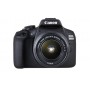 Canon EOS 2000D + EF-S 18-55mm f/3.5-5.6 IS II + EF 75-300mm f/4-5.6 III Kit fotocamere SLR 24,1 MP CMOS 6000 x 4000  (2728C017)
