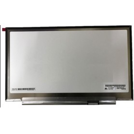 CoreParts MSC1402K30-243M ricambio per notebook Display (MSC1402K30-243M)