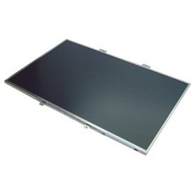 Acer LK.17008.025 ricambio per notebook Display (LK.17008.025)