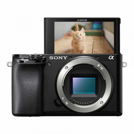 Sony α 6100 Corpo della fotocamera SLR 24,2 MP CMOS 6000 x 40000 Pixel (ILCE6100B.CEC)