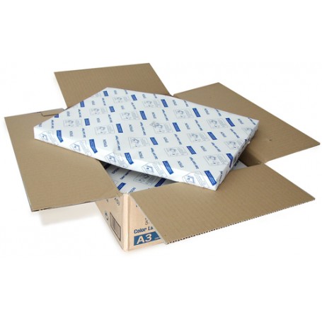 Epson Color Laser Paper carta inkjet A3 (297x420 mm) 250 fogli (C13S041165)