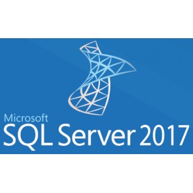Microsoft SQL Server 2017 Client Access License (CAL) 1 licenza/e (359-06534)