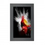 Hagor ScreenOut Pro S 101,6 cm (40") Alluminio (1650)