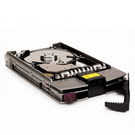 Hewlett Packard Enterprise 146.8GB 15K SCSI U320 146,8 GB Ultra320 SCSI (404712-001)
