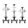 Lindy 40969 supporto da tavolo per Tv a schermo piatto 177,8 cm (70") Viti Acciaio inossidabile (40969)