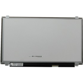 CoreParts MSC156F40-190M ricambio per notebook Display (MSC156F40-190M)