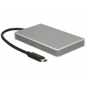 DeLOCK 54060 unità esterna a stato solido 120 GB Argento (54060)