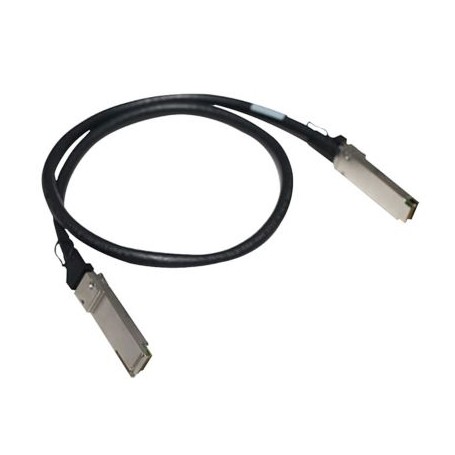 Hewlett Packard Enterprise 0.5m 100Gb QSFP28 OPA Copper Cable cavo InfiniBand 0,5 m (830024-B21)