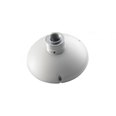 LevelOne CAS-2101 accessorio per la montatura delle macchine fotografiche (CAS-2101)