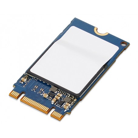 Lenovo 4XB1B85887 drives allo stato solido M.2 1000 GB PCI Express 3.0 NVMe (4XB1B85887)