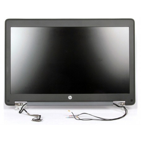 HP Display panel assembly (735964-001)