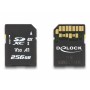 DeLOCK 54091 memoria flash 256 GB SD (54091)