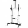 StarTech.com STNDMTV100 Supporto TV a parete 2,54 m (100") Nero, Argento (STNDMTV100)