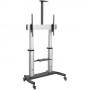 StarTech.com STNDMTV100 Supporto TV a parete 2,54 m (100") Nero, Argento (STNDMTV100)