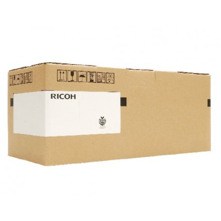Ricoh D0819680 stampante di sviluppo 450000 pagine (D0819680)