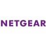 Netgear AVB4230P-10000S licenza per software/aggiornamento 1 licenza/e 1 anno/i (AVB4230P-10000S)