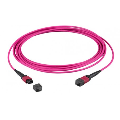 EFB Elektronik MTPF12MTPFOM4-1 cavo a fibre ottiche 1 m MTP OM4 Viola (MTPF12MTPFOM4-1)