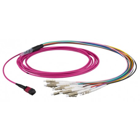 EFB Elektronik MTPF12LCOM4-5 cavo a fibre ottiche 5 m MTP 12x LC OM4 Porpora (MTPF12LCOM4-5)