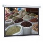 Kindermann ProScreen CSR 240 x 240 cm schermo per proiettore 1:1 (5952000005)