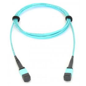 Allied Telesis AT-MTP12-1 cavo a fibre ottiche 1 m MTP (AT-MTP12-1)