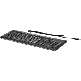 HP USB Standard Keyboard, PL tastiera QWERTY Polacco Nero (724720-241)