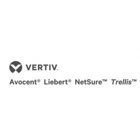 Vertiv Avocent ADB0211 adattatore per inversione del genere dei cavi USB PS/2 (ADB0211)