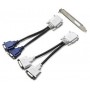 Lenovo 57Y4167 scheda video NVIDIA GeForce 310 GDDR2 (57Y4167)