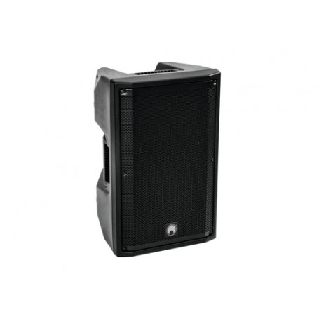 Omnitronic 11038796 altoparlante 2-vie Nero Con cavo e senza cavo 300 W (11038796)