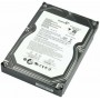 Acer KH.40007.004 disco rigido interno 3.5" 400 GB Seriale ATA II (KH.40007.004)