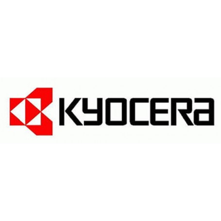 KYOCERA DV-360 stampante di sviluppo (302J293010)