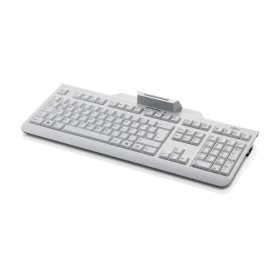 Fujitsu KB100 SCR tastiera USB Color marmo (S26381-K100-L119)
