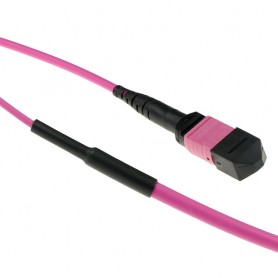 ACT DC5000 cavo a fibre ottiche 25 m MPO/MTP OM3/OM4 Viola (DC5000)