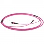ACT DC5000 cavo a fibre ottiche 25 m MPO/MTP OM3/OM4 Viola (DC5000)