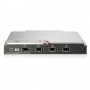 Hewlett Packard Enterprise BladeSystem Virtual Connect 8Gb 20-port FC Gestito (572216-001)