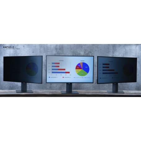 KAPSOLO 4-Way Plug In Privacy 58,4cm (23") Wide 16:9 58,4 cm (23") 2H (KAP10775)