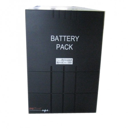 ROLINE 19.40.1076 batteria UPS (19.40.1076)