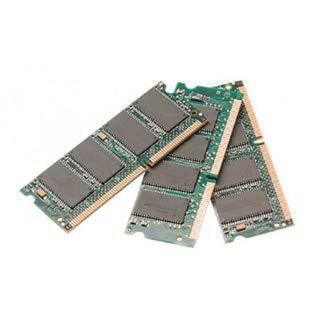 Fujitsu Mem 1GB DDR-RAM PC2700 ECC (2mod) memoria 333 MHz Data Integrity Check (verifica integrità dati) (S26361-F3127-L523)