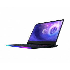 MSI Gaming GE66 12UGS-001 Raider Computer portatile 39,6 cm (15.6") Quad HD Intel® Core™ i7 16 GB DDR5-SDRAM 100 (001544-001)