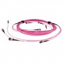 ACT DC5400 cavo a fibre ottiche 5 m MPO/MTP OM4 Viola (DC5400)