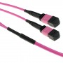 ACT DC5261 cavo a fibre ottiche 50 m 2x MPO OM4 Viola (DC5261)