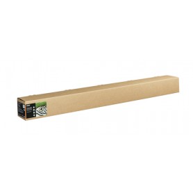Epson C13S450287 carta da disegno Foglio d'arte 1 fogli (C13S450287)