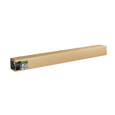 Epson C13S450287 carta da disegno Foglio d'arte 1 fogli (C13S450287)
