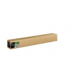 Epson C13S450286 carta da disegno Foglio d'arte 1 fogli (C13S450286)